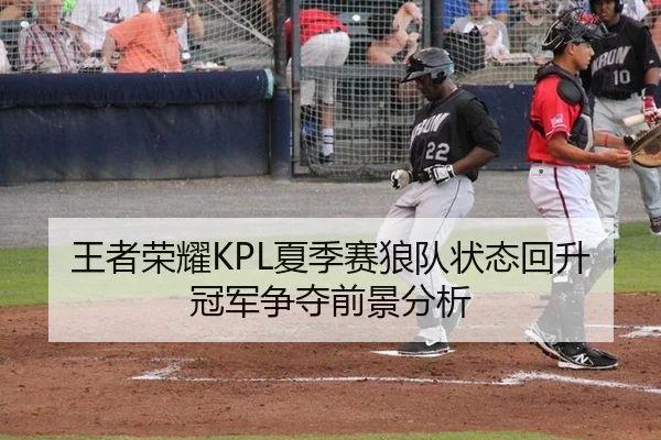 王者荣耀KPL夏季赛狼队状态回升 冠军争夺前景分析
