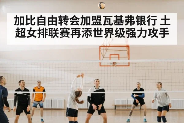 volleyball team